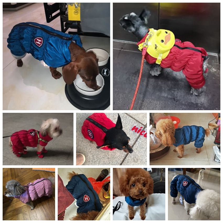 Zipper Snow Unisex Dog Waterpr - Baby Clothing Zipper review and price